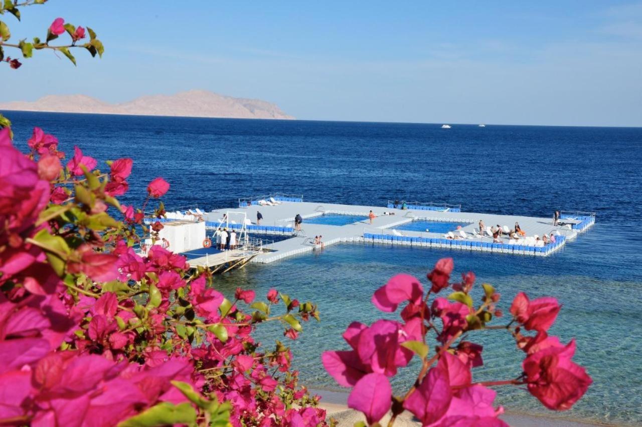 Grace House Domina Coral Bay Appartement Sharm-el-Sheikh Buitenkant foto