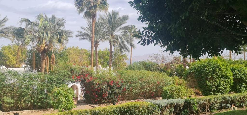 Grace House Domina Coral Bay Appartement Sharm-el-Sheikh Buitenkant foto